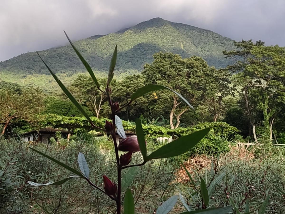 Finca Mystica Mérida Exteriér fotografie