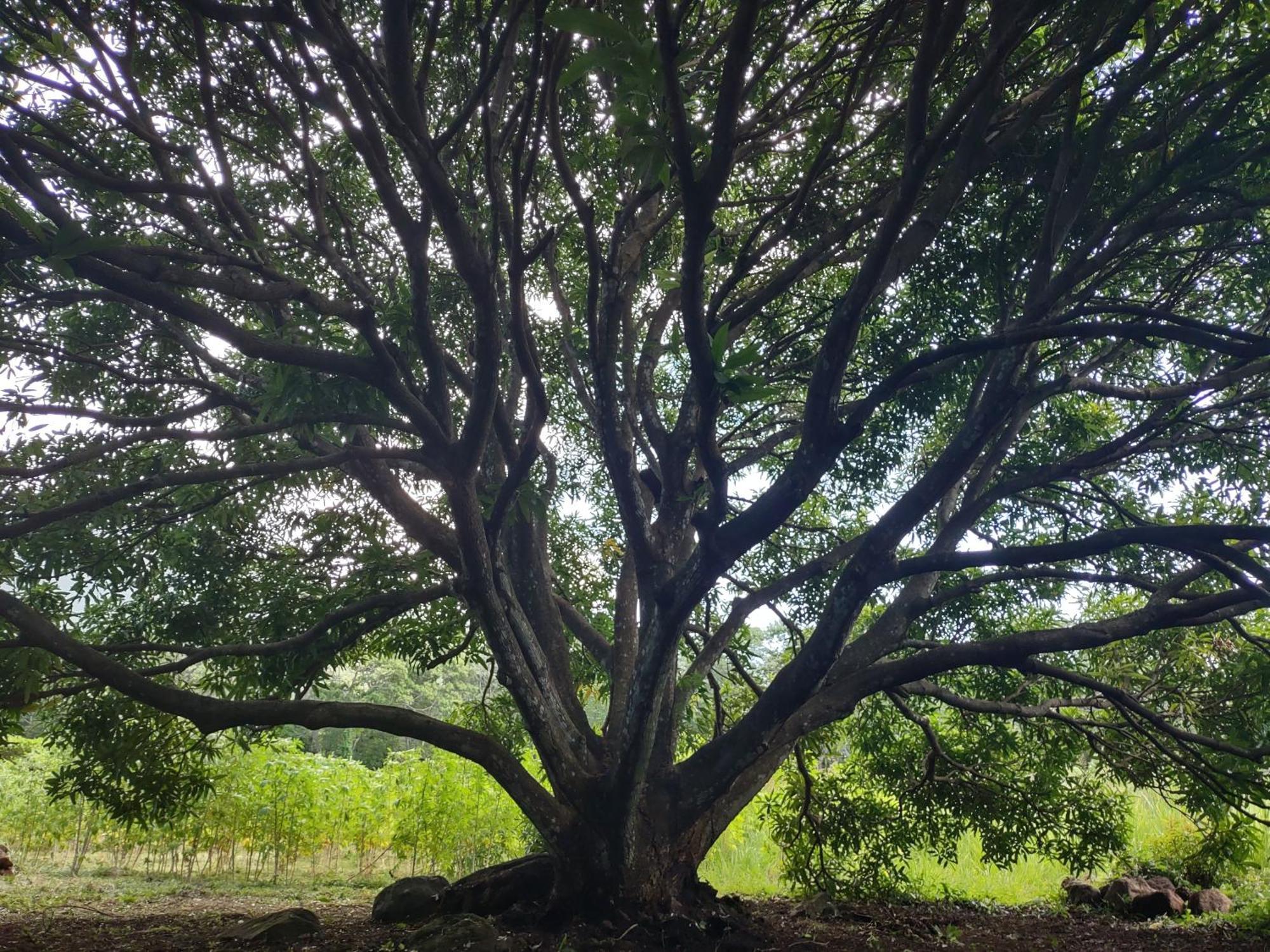Finca Mystica Mérida Exteriér fotografie
