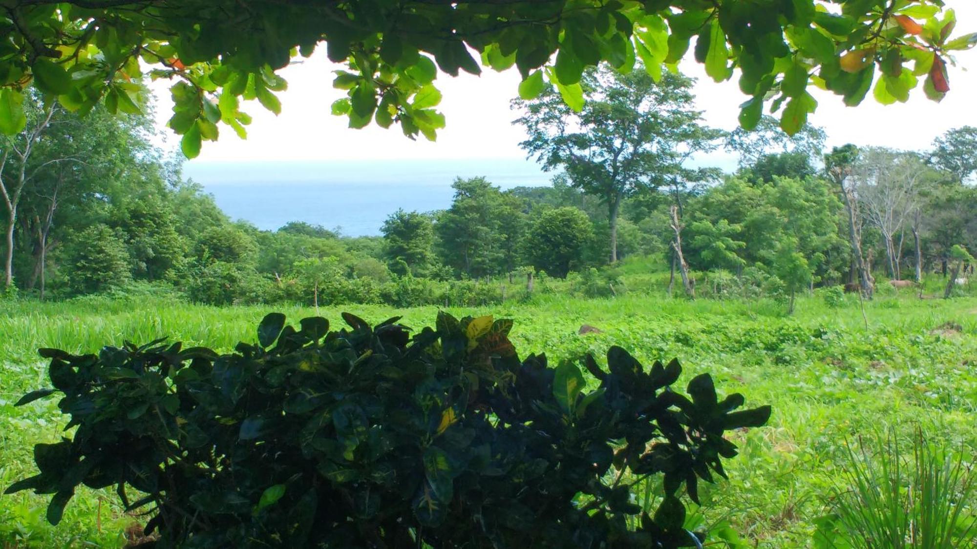 Finca Mystica Mérida Pokoj fotografie