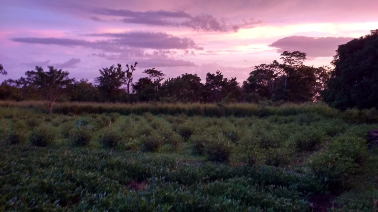Finca Mystica Mérida Exteriér fotografie